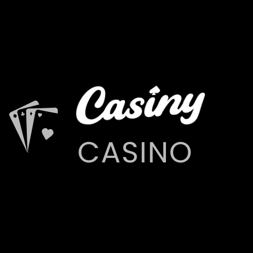 The Future of Gaming Discovering the Casiny App